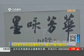 巾帼不让须眉！江苏青年女书法家作品展，展出67幅作品视频封面