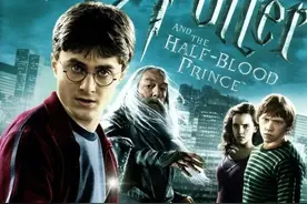 “混血儿”不要说成half-blood，超级不礼貌哦！丨达人分享图片