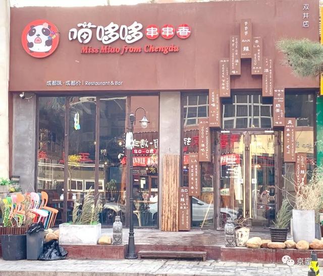 京蜜丨跟真的企鹅一起吃饭，这样的餐厅有多少安排多少吧
