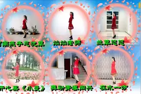 河南燕子忘忧草广场舞《金灿灿微信群粉丝36人合屏《好运连连》第二版本.mp4》视频封面