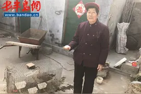 诸城热心市民捡到一只大雁 移交野生动物救护中心悉心照料图片