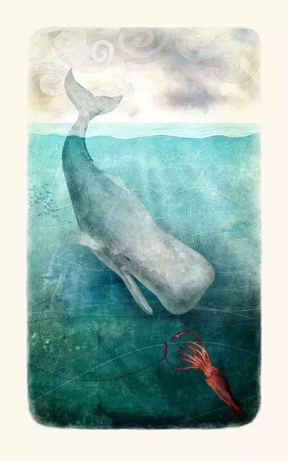 1200米大王乌贼生吞抹香鲸,「深海巨物」大王乌贼和抹香鲸,两大深海