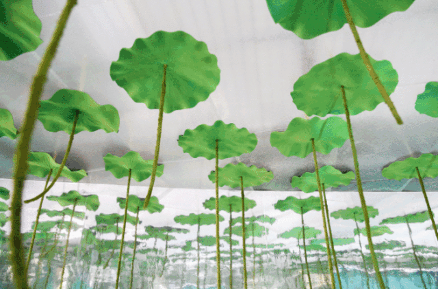 内含福利！等你来撒欢！大到罕见的魔都“奇迹城堡”里，巨型花海已达颜值巅峰！还有“神奇动物”出没呢！