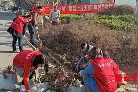 200余株石楠、麦冬国华社区“安家落户”图片