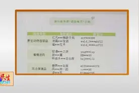 微信里发布违法违禁信息 将会被封号图片