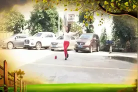 广州莲花公园广场舞《感恩妈妈》视频封面