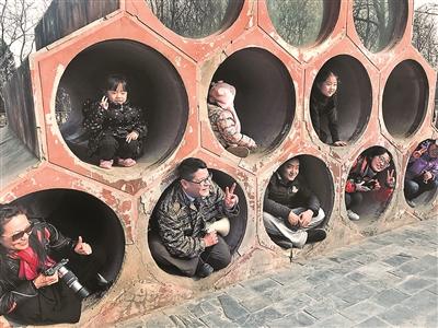 跟四不像老师走一段麋鹿之旅