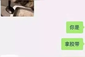 留学情侣虐猫引发全网震怒，学联回应图片