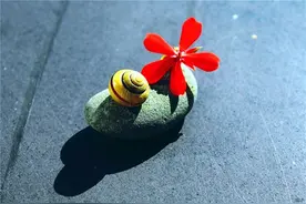 最简短的经典说说，句句有料，送给孤独失眠的你图片