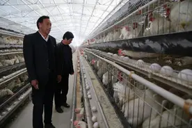河南这个村只有2000多人，办的企业产值却超千万！图片