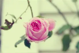 多年经验总结的感悟句子，句句通透，指引人生方向图片