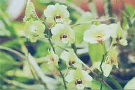 性格内向懦弱的你，该如何培养出强大气场？这三点很重要图片