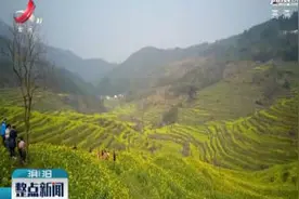江西婺源：油菜“花如海”春光惹人醉视频封面