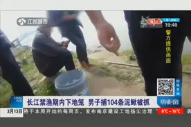男子下地笼捉了104条泥鳅，结果被警察抓了，咋回事？视频封面