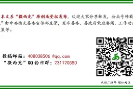 @西充市民，城乡居民基本养老保险缴费档次有调整，最高可调至——图片