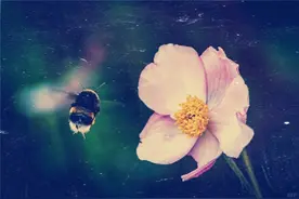 致拼搏路上自己的小句子，句句正能量图片