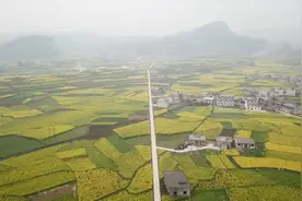 贵州六枝：花开春意浓视频封面