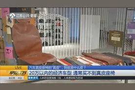汽车真皮座椅的“真皮”，到底是什么皮？商家说“真皮”可信吗？视频封面