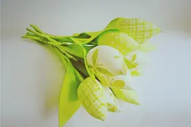 让人看了就想摘抄的句子，句句充满阳光，让人一读再读图片