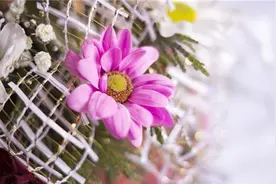 路苍茫，要靠自己走过去，路遥远，要耐得住孤独和寂寞，早安图片