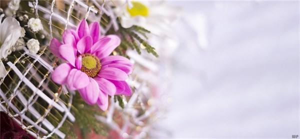 人生哲理心情感悟经典句子（人生感悟经典哲理语句）