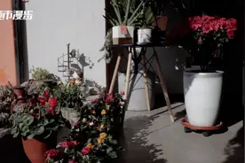 一天｜花店里的情人节视频封面