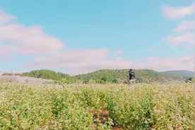 使用虚假身份证件罪中情节严重的认定图片