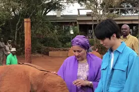 王俊凯去非洲吃火锅，做英文演讲，还认养了两头小象视频封面