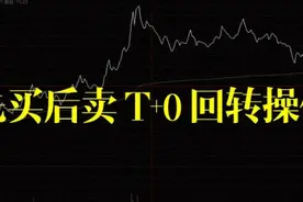 退役操盘手盈利十年投资笔记一次性曝光：长期持有一只股票来回做T，这才是股市最好的操盘方法！图片