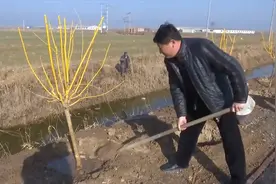 废旧宅基入股绿化苗木 这里变身美丽乡村视频封面