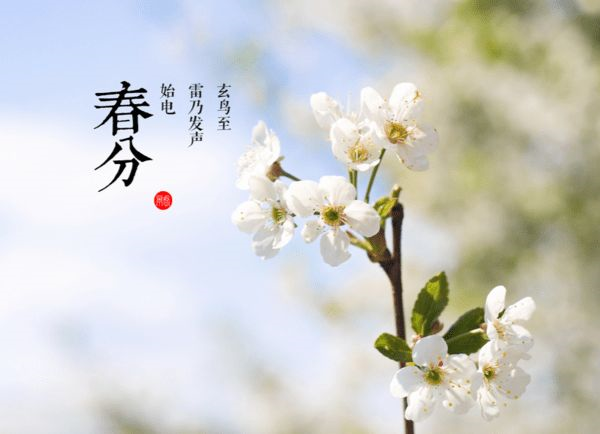 牟玑