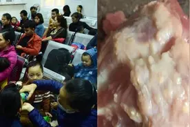 越南学校供应问题肉，数百儿童患绦虫病视频封面