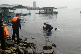 久病不愈以为身患绝症，惠州一年轻女子执意跳海轻生视频封面