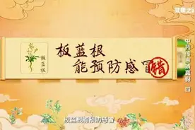 吃板蓝根预防感冒？专家：没有效果反伤身图片