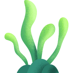 肥料常识小集合：能让作物增产的锌肥和氨基酸微肥！