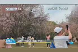 文明赏樱！武大和抖音合作推出“樱花雨”皮肤，希望以此代替摇树视频封面
