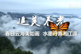 追美春光 | 春日云海美如画 水墨丹青湘江源视频封面