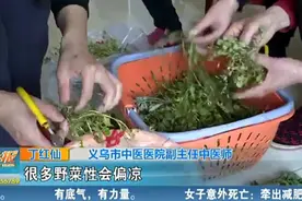 春天义乌野菜香！但医生说吃野菜一定要注意这些视频封面