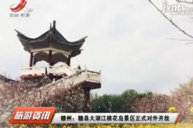 赣州：赣县大湖江桃花岛景区正式对外开放视频封面
