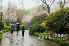 好美！细雨中游园，沾衣欲湿杏花雨图片
