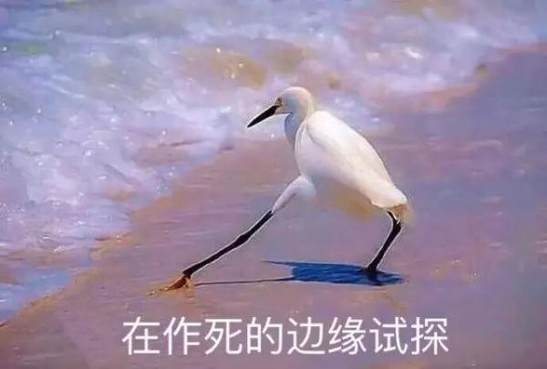 《都挺好》中苏家三个男人哪个最讨厌？“陪伴式啃老”算孝顺吗？