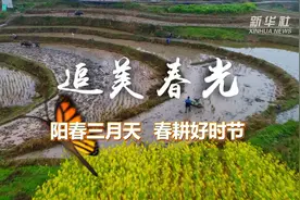 追美春光丨阳春三月天  春耕好时节视频封面