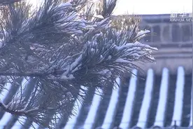 春分时节 春雪落承德视频封面