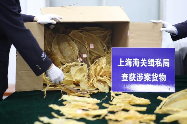 孕妇吃鱼鳔好处和禁忌 2026年孕妇吃鱼鳔好处和禁忌有哪些