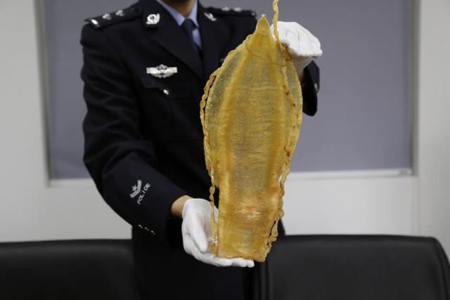 孕妇吃鱼鳔的功效与作用 孕妇吃鱼鳔的功效与作用咳嗽可以吃么