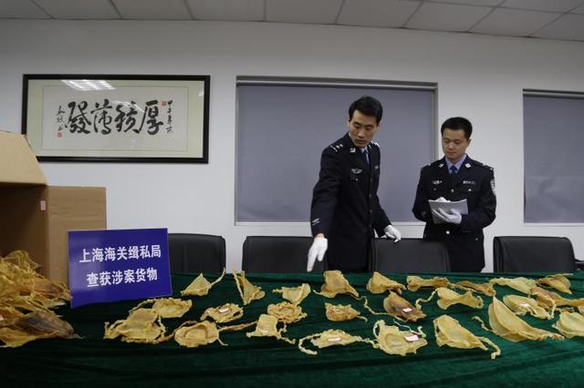 孕妇吃鱼鳔的功效与作用 孕妇吃鱼鳔的功效与作用咳嗽可以吃么