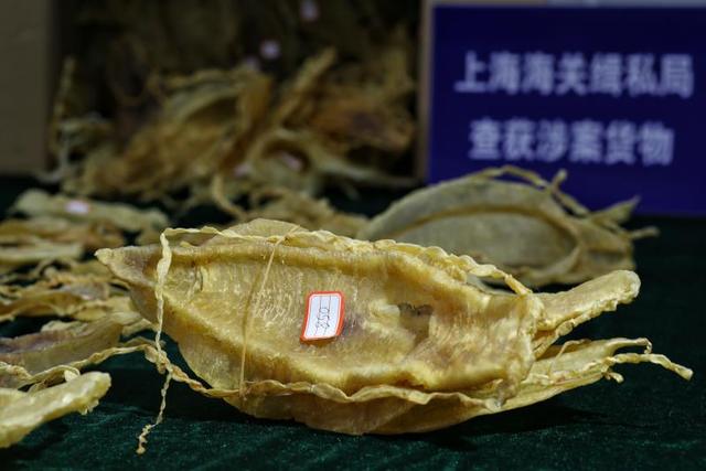 孕妇吃鱼鳔的功效与作用 孕妇吃鱼鳔的功效与作用咳嗽可以吃么