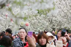 樱花怒放，许昌学院花香书香满校园图片