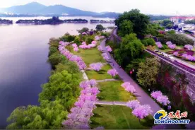 又一打卡圣地！鸡鸣寺-玄武湖樱花片区实现“水陆空”赏樱图片