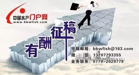 鱼鳞发白出血